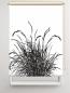 Preview: Rollo Reed24 black blanco, Rollo, Motivrollo, Rollo mit Druck, Fotorollo, bedrucktes Rollo, Fensterrollo,verdunkelndes Rollo, Sonnenschutz Rollo
